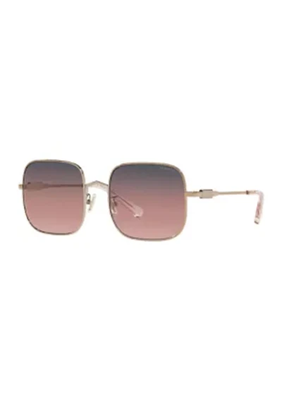 HC7120 L1169 Sunglasses