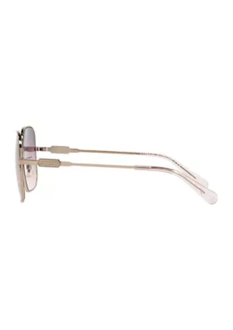HC7120 L1169 Sunglasses