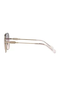 HC7120 L1169 Sunglasses