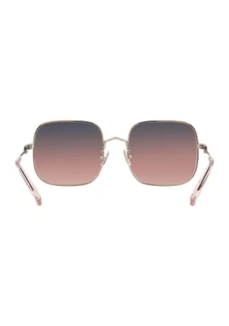 HC7120 L1169 Sunglasses