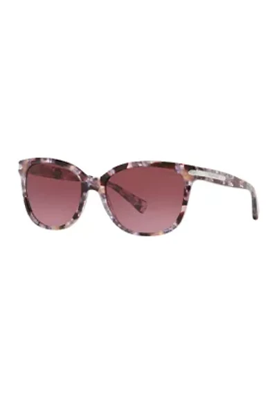 HC8132 Sunglasses