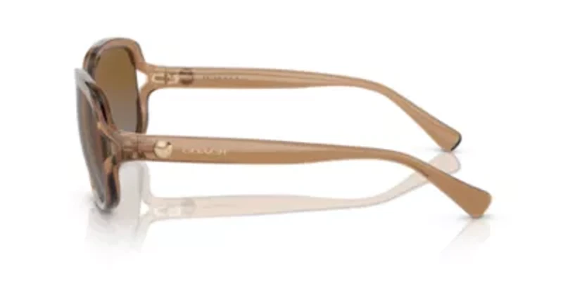 HC8169 L149 Polarized Sunglasses