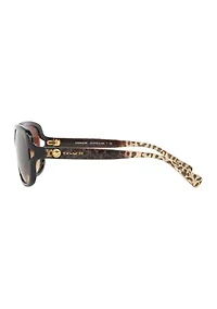 HC8169 L149 Sunglasses