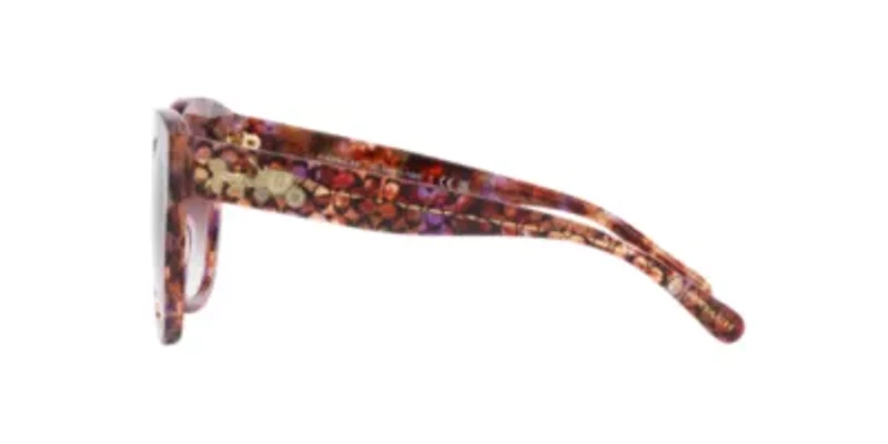 HC8264 L1083 Sunglasses