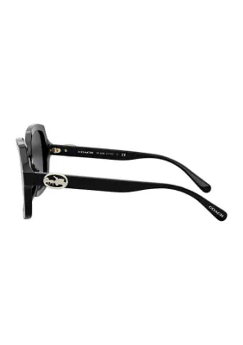 HC8295 L1147 Sunglasses