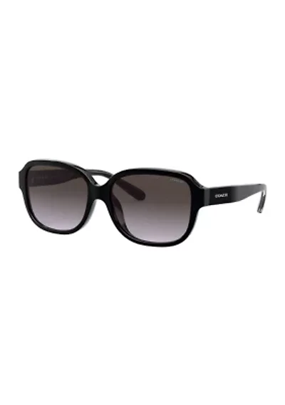 HC8298U L1153 Sunglasses