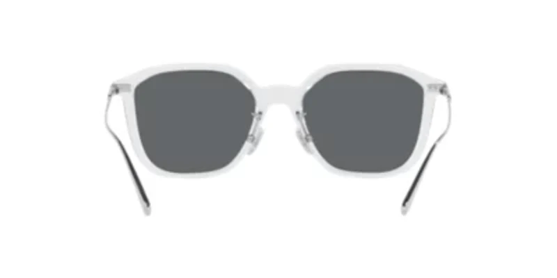 HC8355 CD461 Polarized Sunglasses