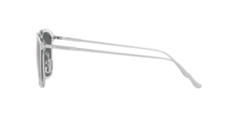 HC8355 CD461 Polarized Sunglasses