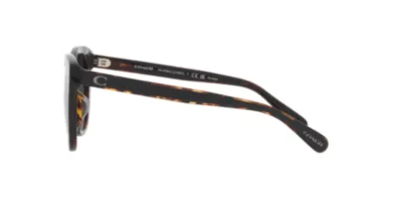 HC8365U CH566 Polarized Sunglasses