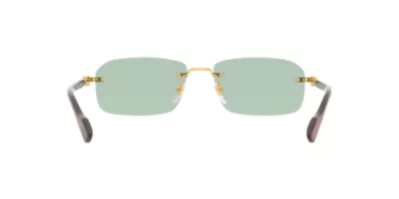 GC001968 GG1221S Sunglasses