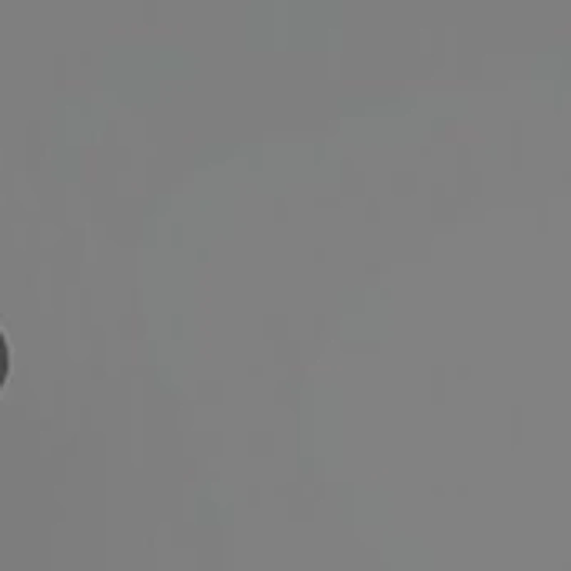 GC001244 GG0528S Polarized Sunglasses