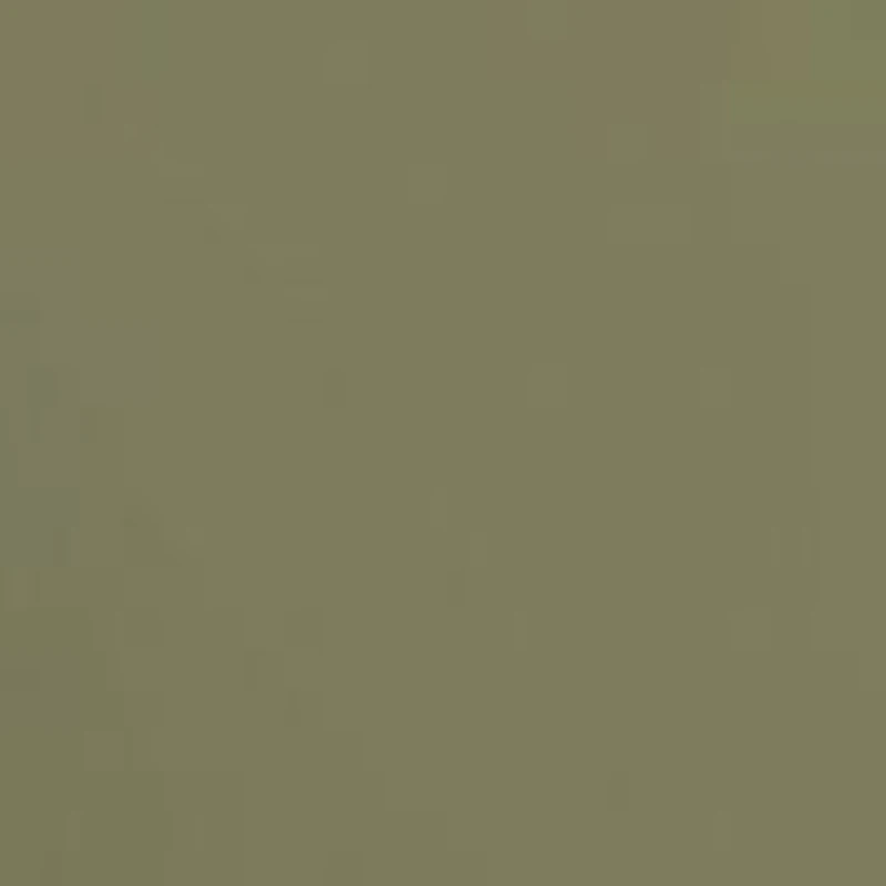 GC001244 GG0528S Sunglasses