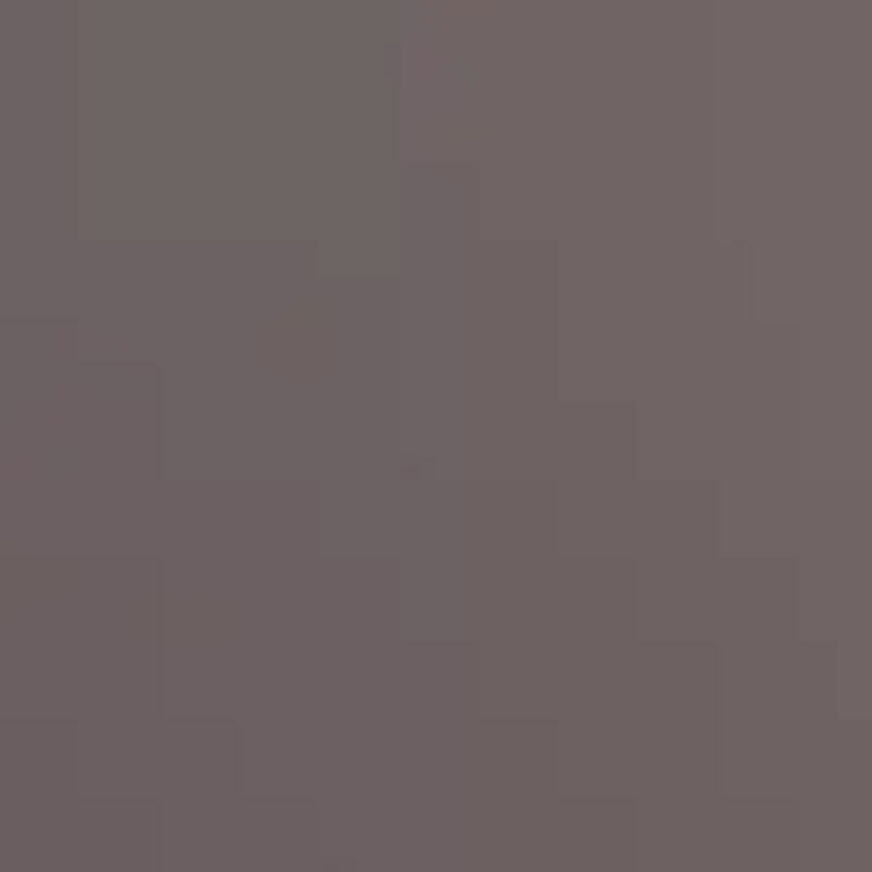 GC001342 GG0603S Sunglasses