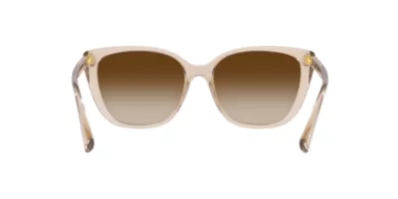 DG4268 Sunglasses