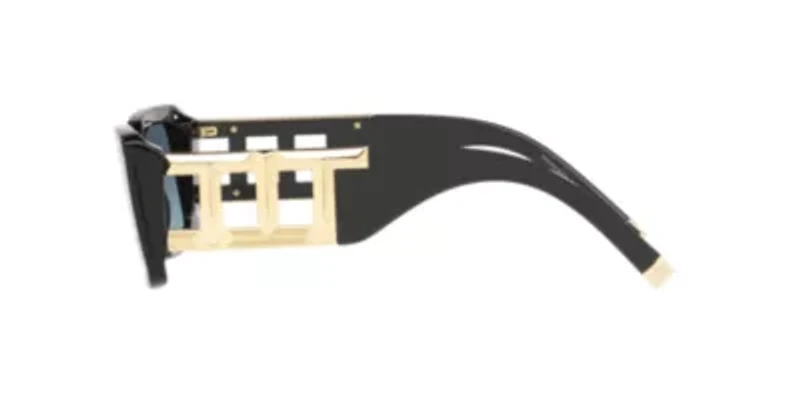 DG4422 Sunglasses