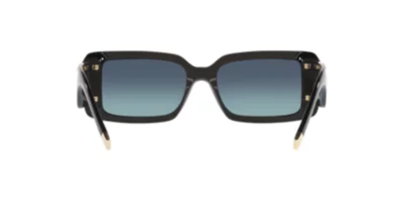DG4422 Sunglasses