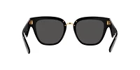 VE2251 Sunglasses