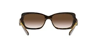 DG6152 Sunglasses