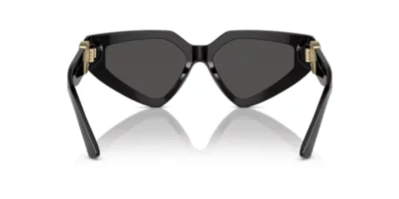 DG4469  Sunglasses
