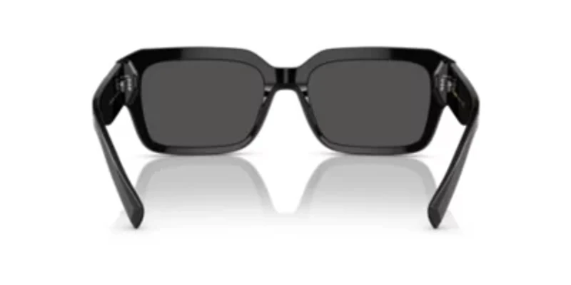 DG4460  Sunglasses
