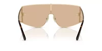 DG2305  Sunglasses