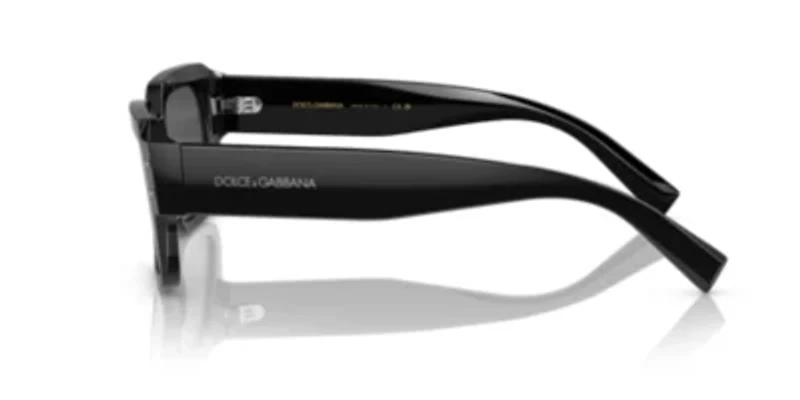 DG4460  Sunglasses