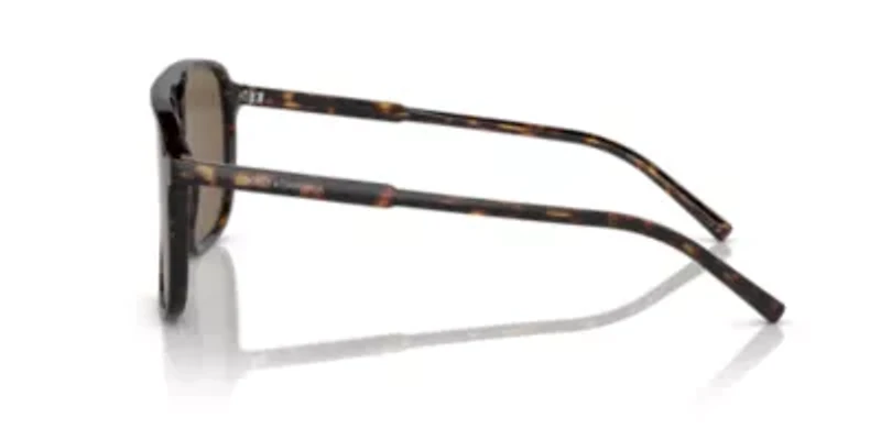 Polarized Sunglasses