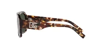DG4403 Polarized Sunglasses