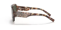 DG4403 Polarized Sunglasses