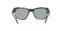 PR 22ZSF Polarized Sunglasses
