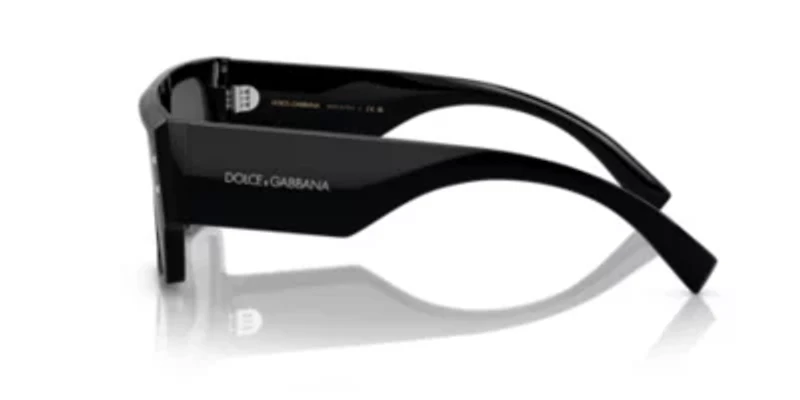 DG4459 Sunglasses