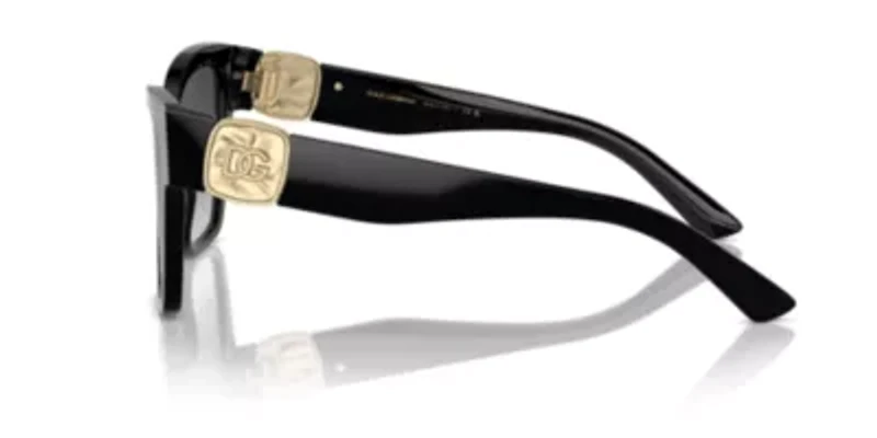 DG4470  Sunglasses