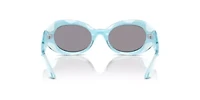 DX6005 Sunglasses