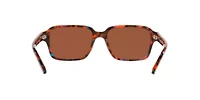 AN4303 POLL-OCK Sunglasses