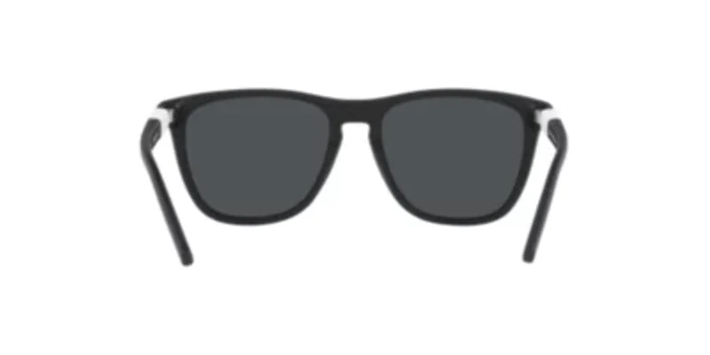 AN4310 Monkey D Sunglasses