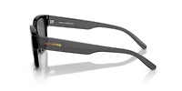 AN4325 Hamie Polarized Sunglasses