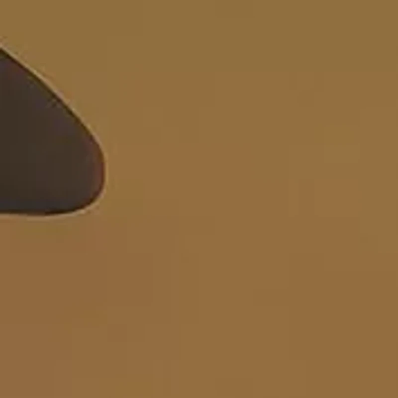 AN4178 Quick Draw Polarized Sunglasses