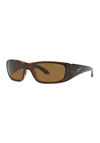 AN4178 Quick Draw Polarized Sunglasses