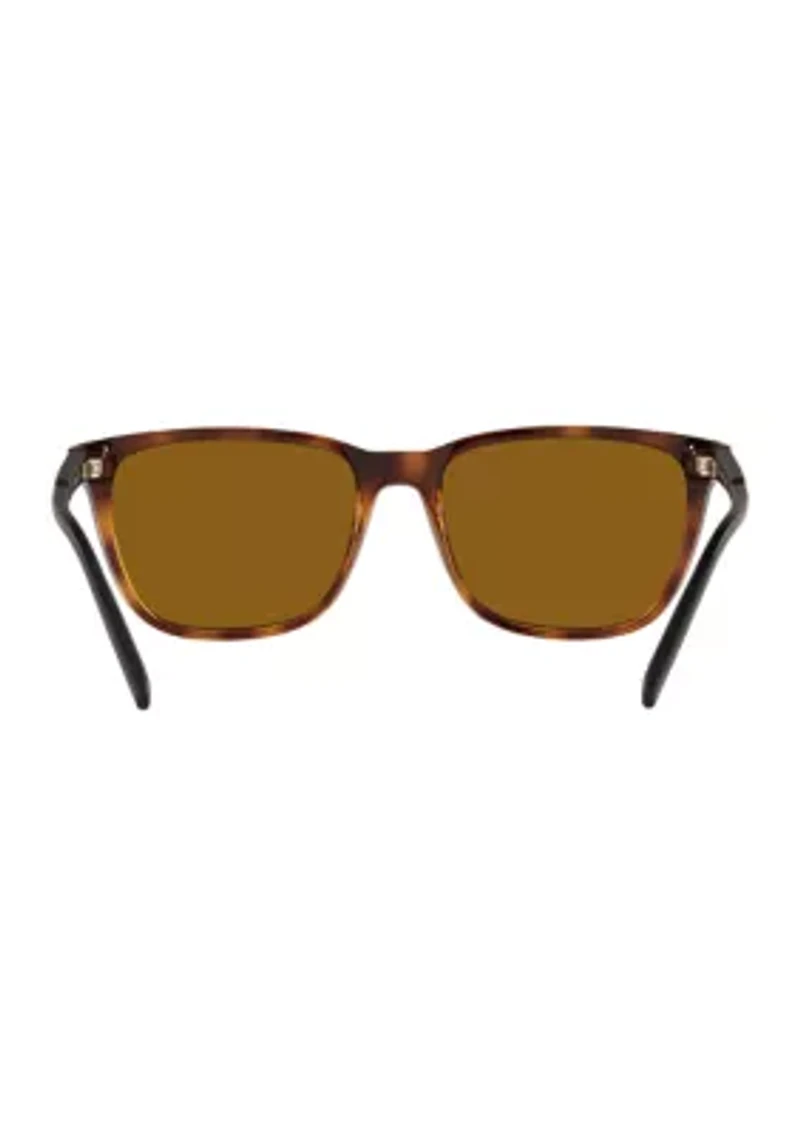 AN4291 Cortex Polarized Sunglasses