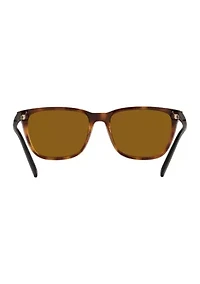 AN4291 Cortex Polarized Sunglasses