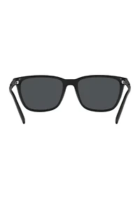 AN4291 Cortex Sunglasses