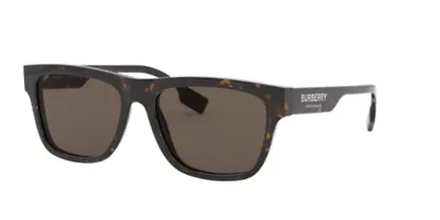 BE4293 Sunglasses