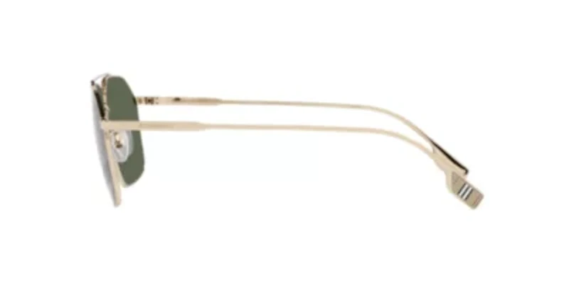 BE3130 Webb Polarized Sunglasses