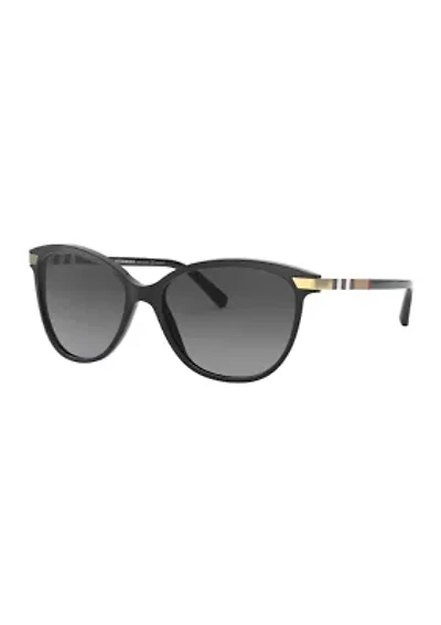 BE4216  Polarized Sunglasses