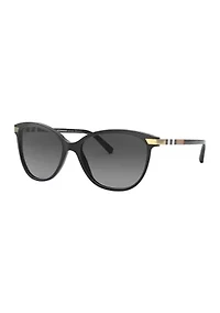 BE4216  Polarized Sunglasses