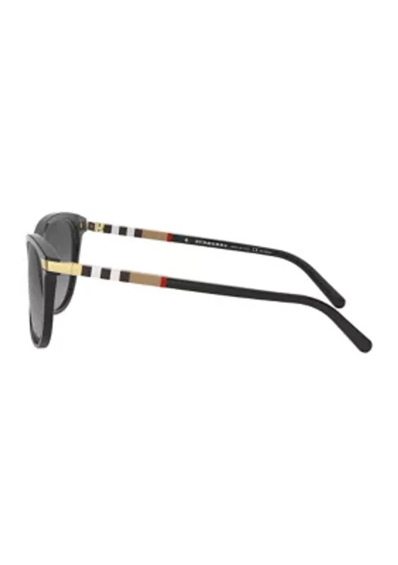 BE4216  Polarized Sunglasses