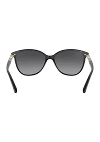 BE4216  Polarized Sunglasses