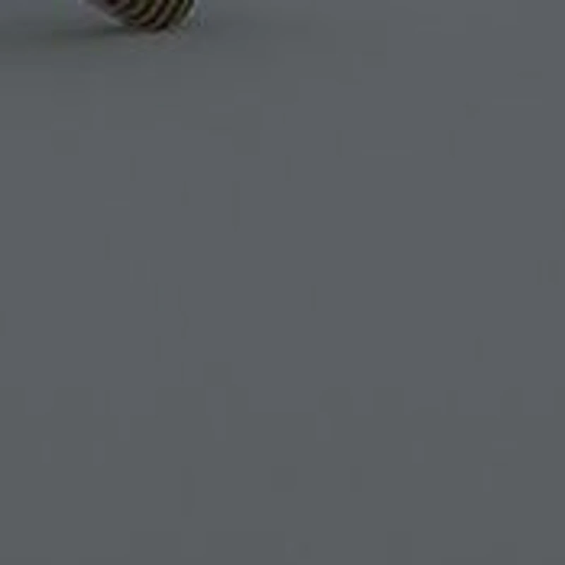 BE4293  Polarized Sunglasses