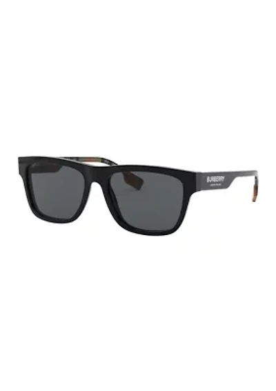BE4293  Polarized Sunglasses