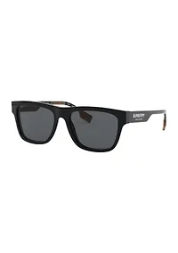BE4293  Polarized Sunglasses
